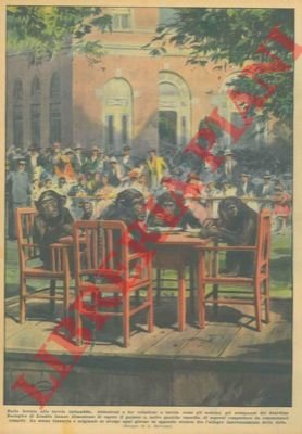 Addestrati a far colazione a tavola come gli uomini, gli …