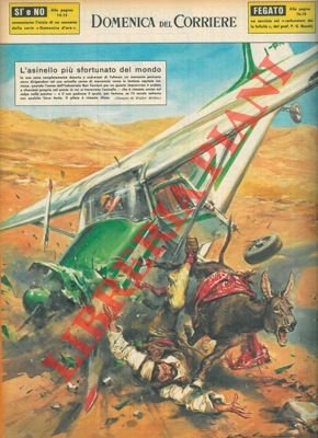 Aereo cade in una zona deserta a sud-ovest di Teheran …