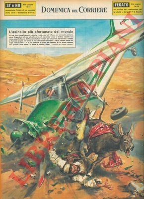 Aereo cade in una zona deserta a sud-ovest di Teheran …