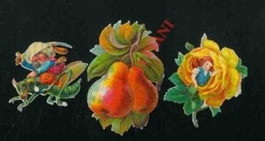 Alberi, frutta, ecc.