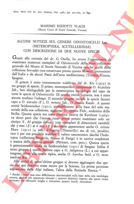 Alcune notizie sul genere Odontoscelis Lap. (Heteroptera, Scutelleridae) con descrizione …