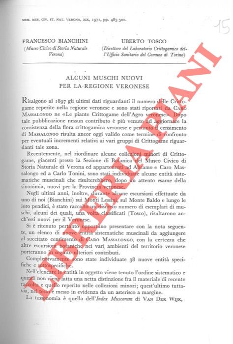 Alcuni muschi nuovi per la regione veronese. | Immagine Gallery 2