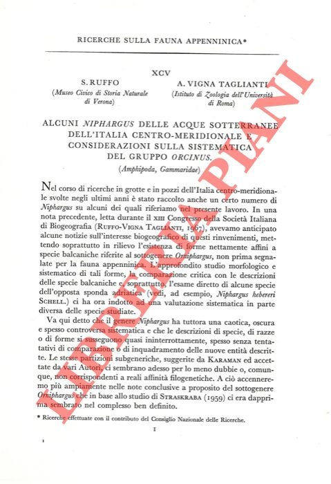 Alcuni Niphargus delle acque sotterranee dell'Italia Centromeridionale e considerazioni sulla …