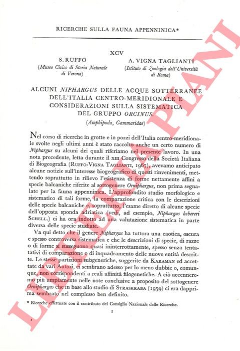 Alcuni Niphargus delle acque sotterranee dell'Italia Centromeridionale e considerazioni sulla …