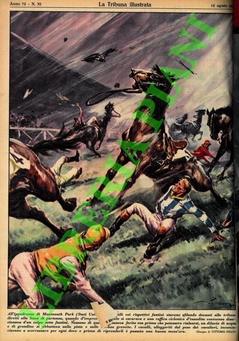 All'ippodromo di Monmouth Park (Stati Uniti) otto cavalli coi rispettivi …