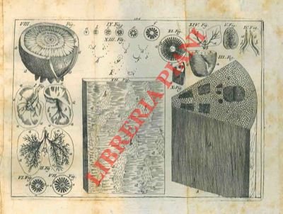 Anotomia ed anima delle piante, che contiene una esatta descrizione …