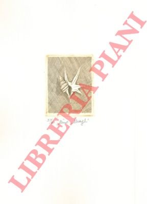 Aporrhais pespelecani.