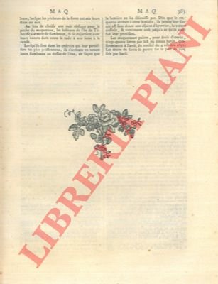 Art du marbreur de papier - dominotier.