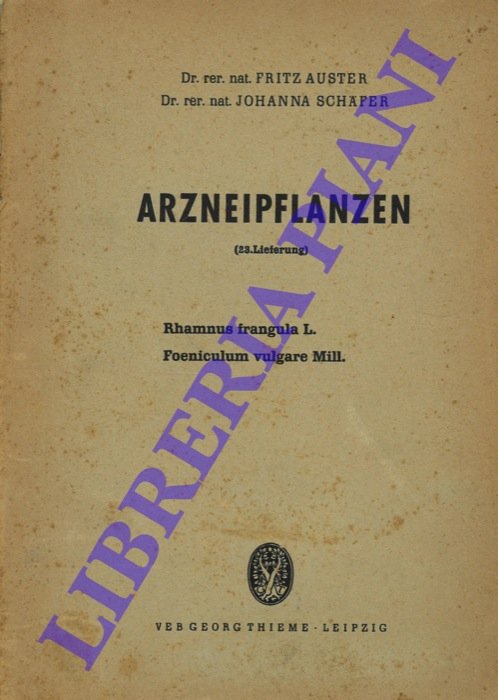 Arzneipflanzen. Rhamnus fragola L. Foeiculum vulgare Mill.