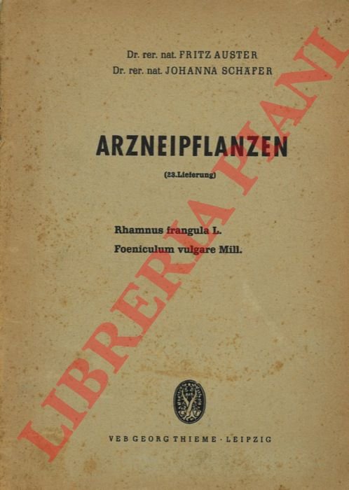 Arzneipflanzen. Rhamnus fragola L. Foeiculum vulgare Mill.