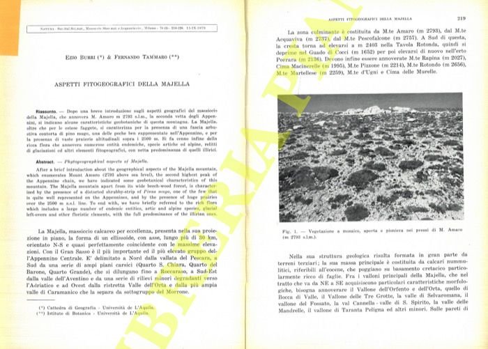 Aspetti fitogeografici della Majella.