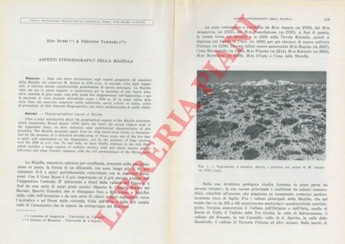 Aspetti fitogeografici della Majella.