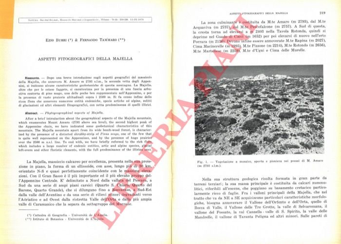 Aspetti fitogeografici della Majella.