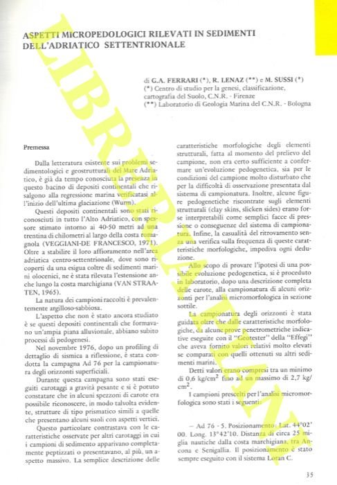 Aspetti micropedologici rilevati in sedimenti dell'Adriatico settentrionale.