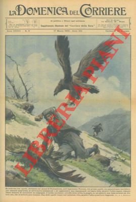 Aspra lotta, sui monti di Vallombrosa, tra un cacciatore disarmato …