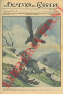 Aspra lotta, sui monti di Vallombrosa, tra un cacciatore disarmato …