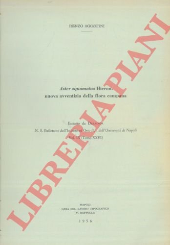 Aster squamatus Hieron. Nuova avventizia della flora campana.