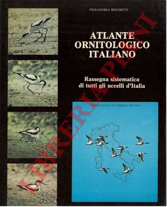 Atlante ornitologico italiano. Rassegna sistematica di tutti gli uccelli d'Italia.