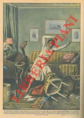 Attentato contro una ricca inglese: la signora si trovava nel …