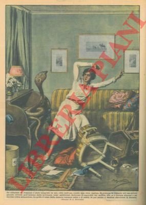 Attentato contro una ricca inglese: la signora si trovava nel …