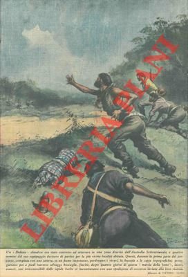Atterraggio d'emergenza di un aereo in una zona selvaggia dell'Australia; …