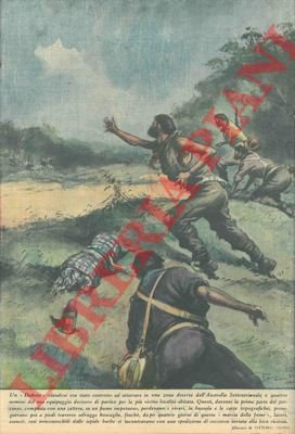 Atterraggio d'emergenza di un aereo in una zona selvaggia dell'Australia; …