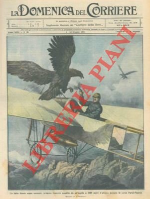 Aviatore assalito da un aquila a 2.000 metri di altezza, …