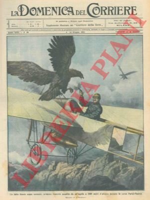Aviatore assalito da un aquila a 2.000 metri di altezza, …
