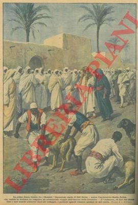 Avventuroso viaggio dell'esploratrice Rosita Forbes all'interno della Cirenaica.