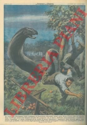 Avvistato a Francofonte (Siracusa) un serpente lungo ben cinque metri …