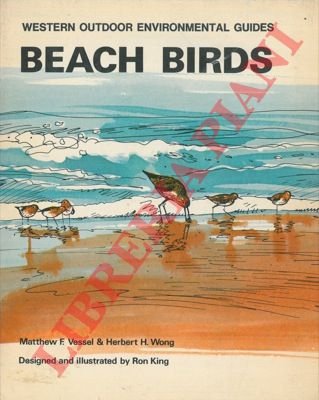 Beach birds. Ill. by R. King.