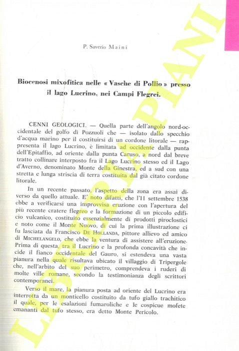 Biocenosi mixofitica nelle «Vasche di Pollio» presso il lago Lucrino, …