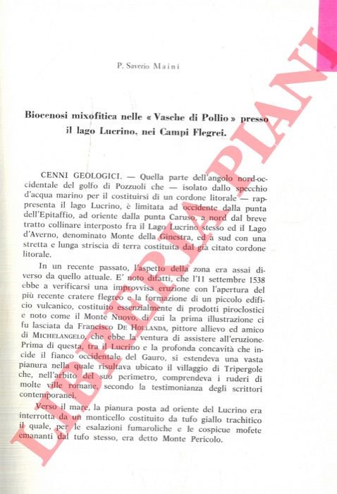Biocenosi mixofitica nelle «Vasche di Pollio» presso il lago Lucrino, …