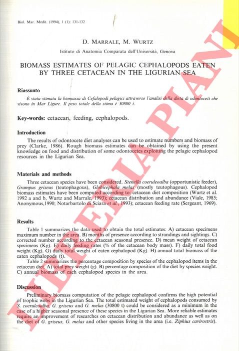 Biomass estimates of Pelagic -cephalopods eaten by three cetacean in …