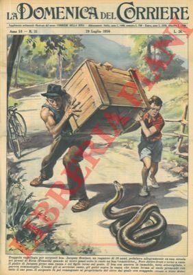 Boa scappato da un circo viene riconsegnato al proprietario da …