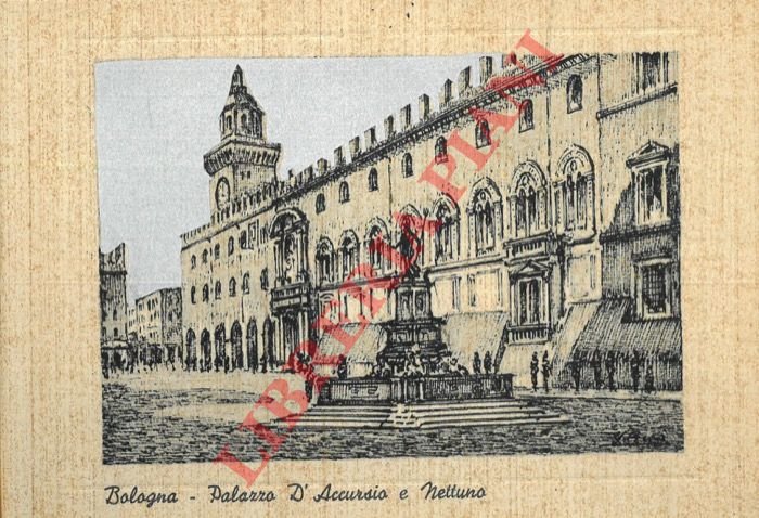 Bologna. Palazzo d'Accursio e Nettuno.