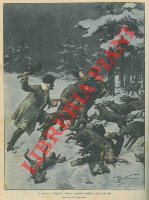 Branco di lupi assale e uccide alcuni zingari.