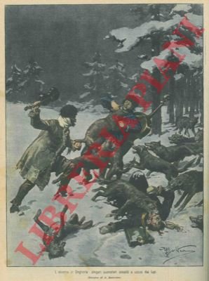 Branco di lupi assale e uccide alcuni zingari.