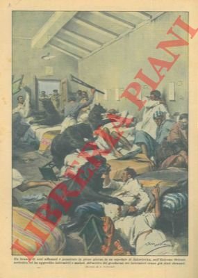 Branco di orsi affamati penetrano dentro un ospedale. Tre infermieri …