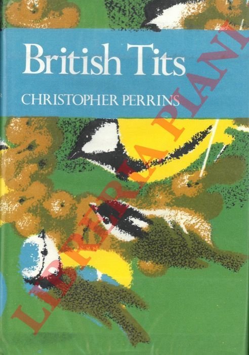 British tits.