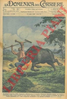 Bufala infuriata travolge un contadino nei pressi di Napoli.