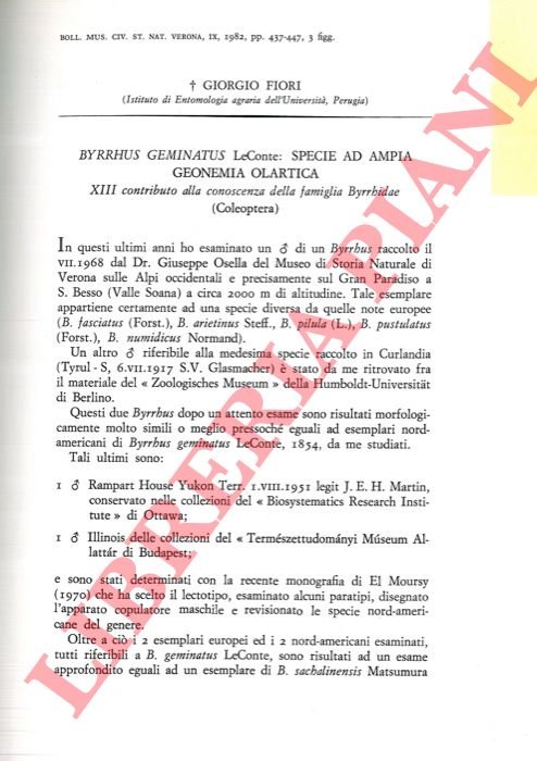 Byrrhus geminatus LeConte: specie ad ampia geonemia olartica (Coleoptera) .