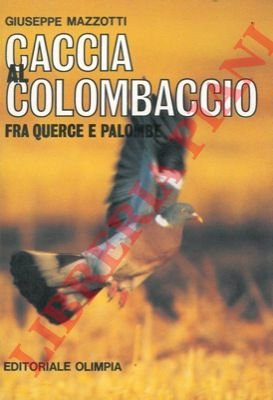 Caccia al colombaccio, fra querce e palombe.