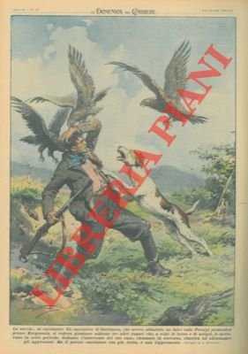 Cacciatore assalito da tre falchi che volevano vendicare il compare …