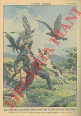 Cacciatore assalito da tre falchi che volevano vendicare il compare …