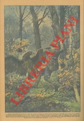 Cacciatore scopre un'aquila in un folto cespuglio e dopo averla …