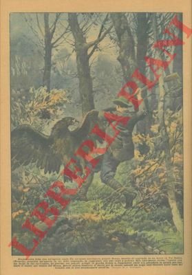 Cacciatore scopre un'aquila in un folto cespuglio e dopo averla …