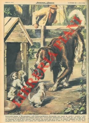 Cagna da caccia torna a casa tenendo in bocca un …