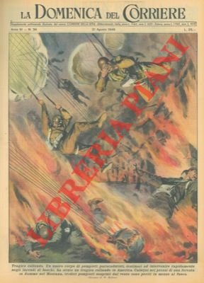 Calatisi nei pressi di una foresta in fiamme, tredici pompieri …