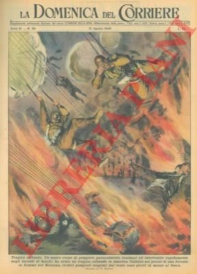 Calatisi nei pressi di una foresta in fiamme, tredici pompieri …